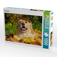 Produktbild: CALVENDO Puzzle Gut beh&uuml;tet | 1000 Teile Lege-Gr&ouml;&szlig;e 64x48cm Foto-Puzzle f&uuml;r gl&uuml;ckliche Stunden