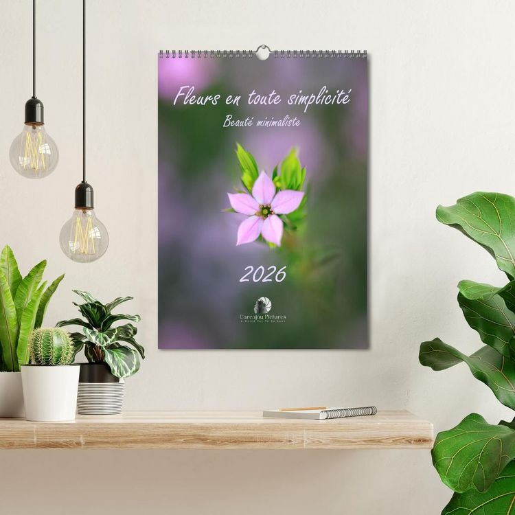 Produktbild: Fleurs en toute simplicit&eacute; - Beaut&eacute; minimaliste (Calendrier mural 2027 DIN A3 horizontal), CALVENDO calendrier mensuel
