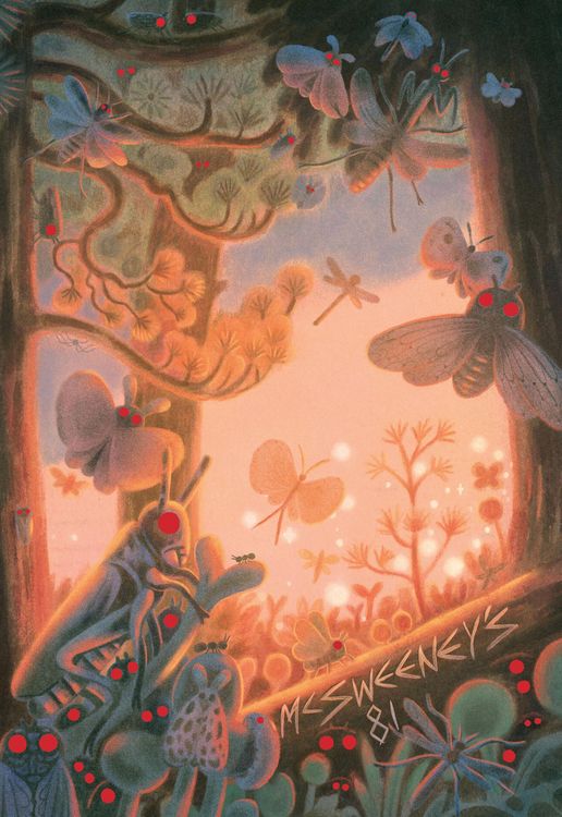 Produktbild: McSweeney's Issue 81 (McSweeney's Quarterly Concern)