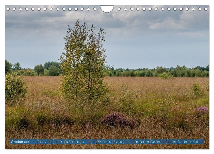 Produktbild: Greetsiel, die ostfriesische Perle und seine Umgebung (Wandkalender 2026 DIN A4 quer), CALVENDO Monatskalender