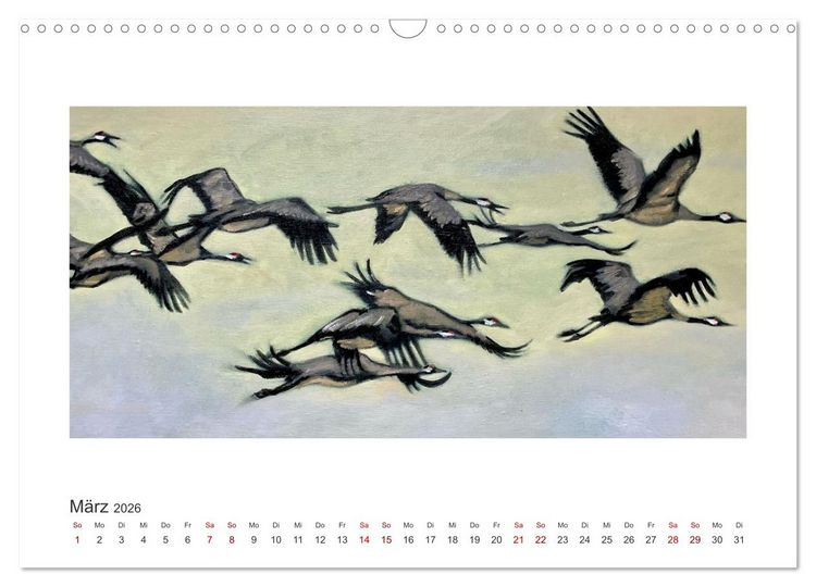 Produktbild: Auf leichten Schwingen - Zugv&ouml;gel (Wandkalender 2026 DIN A3 quer), CALVENDO Monatskalender