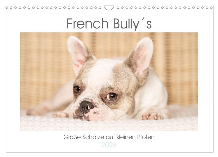 Produktbild: French Bully&acute;s - Gro&szlig;e Sch&auml;tze auf kleinen Pfoten (Wandkalender 2026 DIN A3 quer), CALVENDO Monatskalender