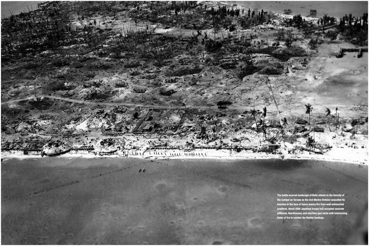 Produktbild: The Marines in World War II
