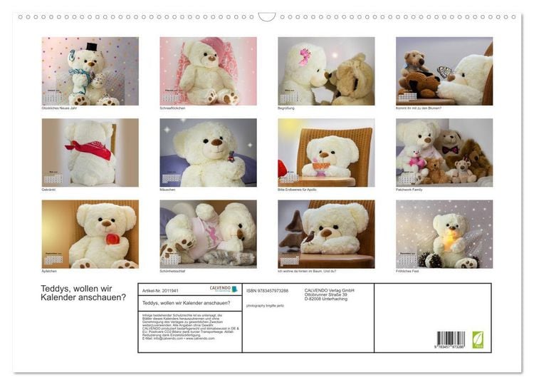 Produktbild: Teddys, wollen wir Kalender anschauen? (Wandkalender 2026 DIN A2 quer), CALVENDO Monatskalender