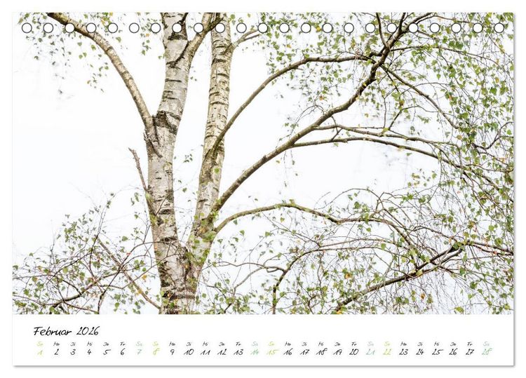 Produktbild: In der Welt der B&auml;ume (Tischkalender 2026 DIN A5 quer), CALVENDO Monatskalender