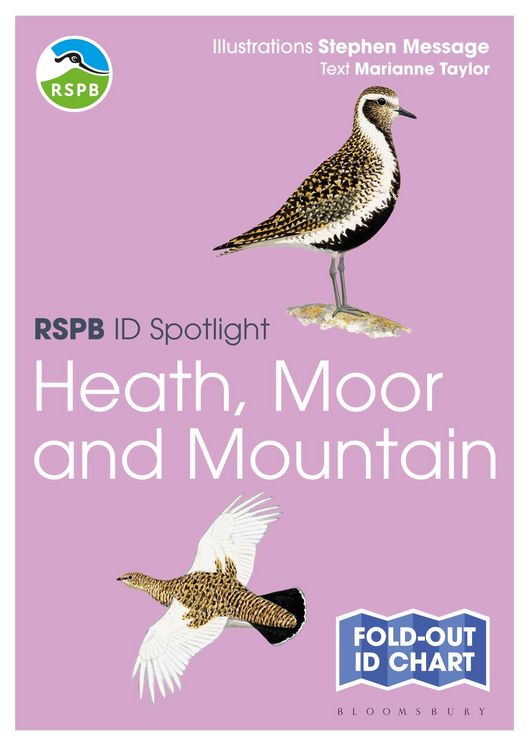 Produktbild: RSPB ID Spotlight - Birds of Heath, Moor and Mountain
