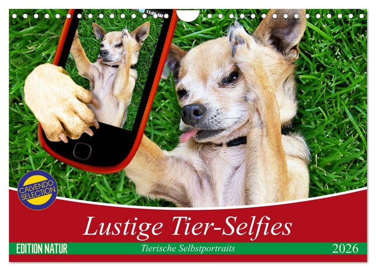 Produktbild: Lustige Tier-Selfies. Tierische Selbstportraits (Wandkalender 2026 DIN A4 quer), CALVENDO Monatskalender