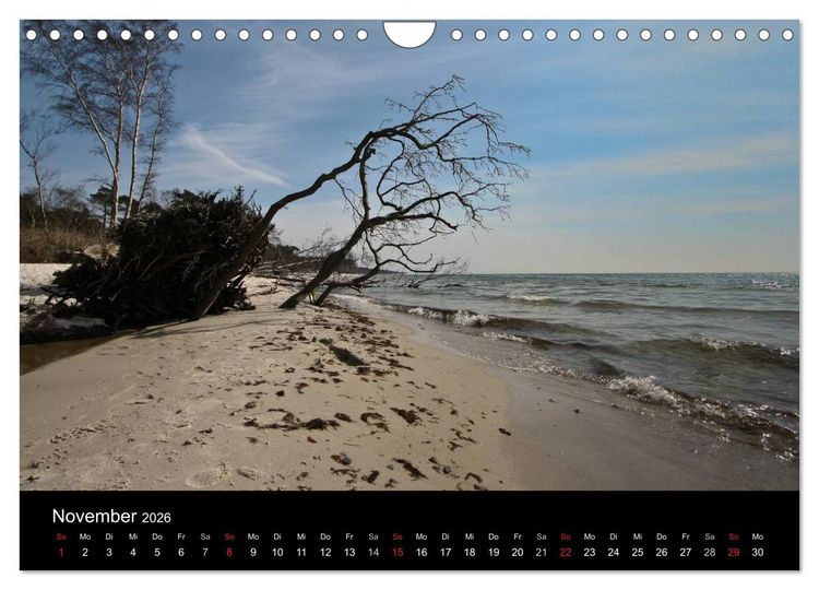 Produktbild: D&auml;nemarks Bornholm 2026 (Wandkalender 2026 DIN A4 quer), CALVENDO Monatskalender