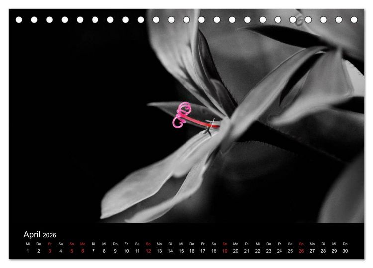 Produktbild: Farbtupfer (Tischkalender 2026 DIN A5 quer), CALVENDO Monatskalender