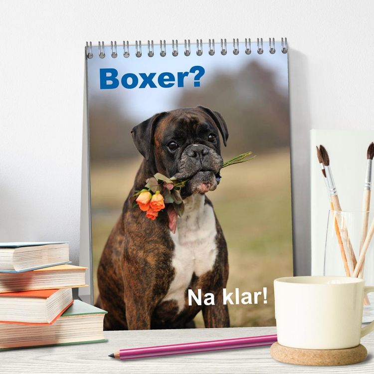 Produktbild: Boxer? Na klar! (Tischkalender 2026 DIN A5 hoch), CALVENDO Monatskalender