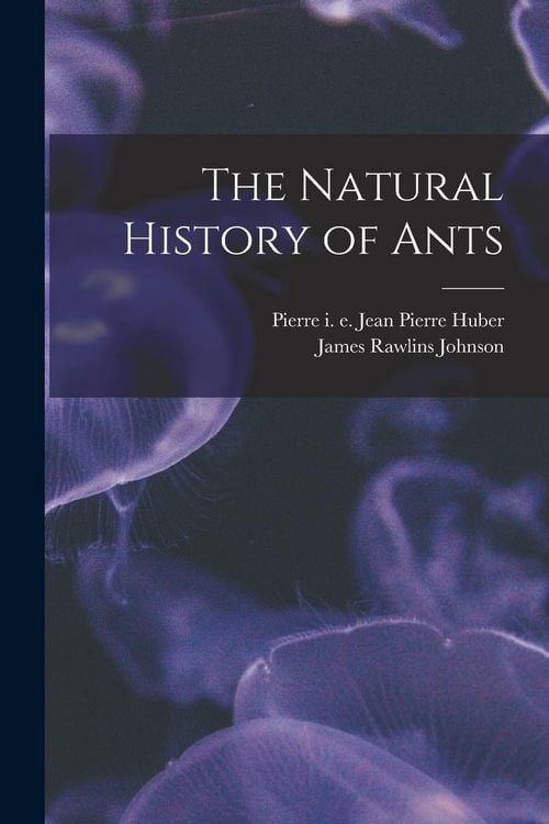 Produktbild: The Natural History of Ants