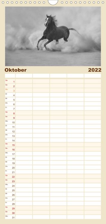 Produktbild: Familienplaner Arabische Pferde (Wandkalender 2022 , 21 cm x 45 cm, hoch)