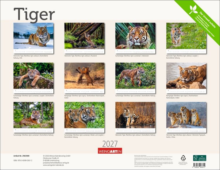 Produktbild: Tiger Kalender 2027