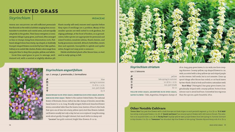 Produktbild: Perennials for the Southeast