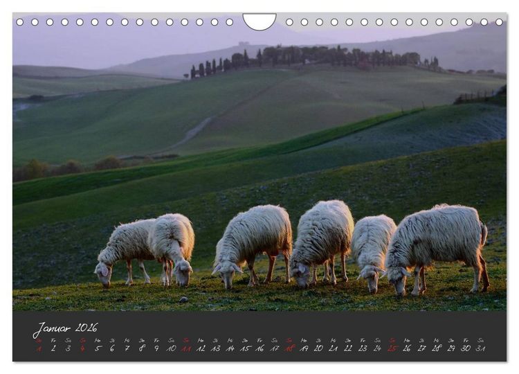 Produktbild: Licht der Toscana (Wandkalender 2026 DIN A4 quer), CALVENDO Monatskalender