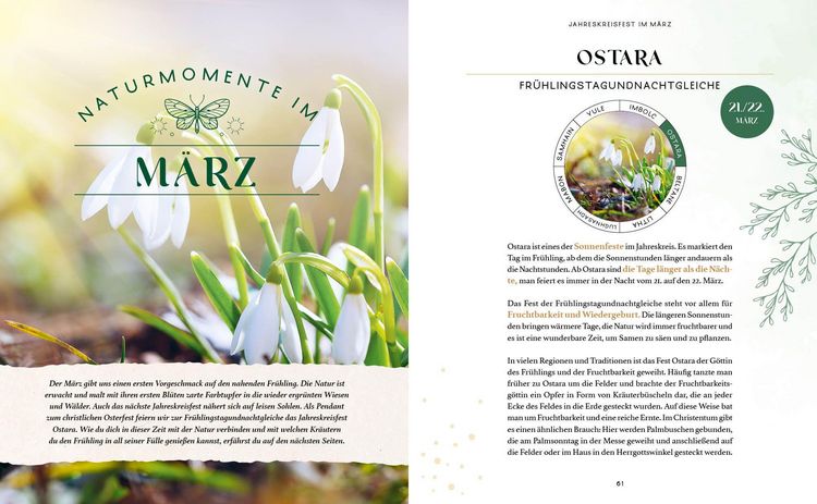 Produktbild: Zaubernuss und Waldmagie &ndash; Naturmomente f&uuml;r deine Seele