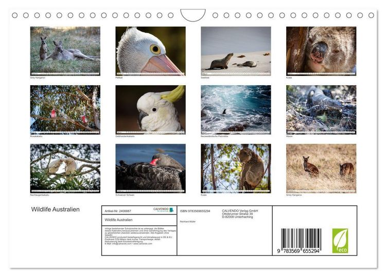 Produktbild: Wildlife Australien (Wandkalender 2027 DIN A4 quer), CALVENDO Monatskalender