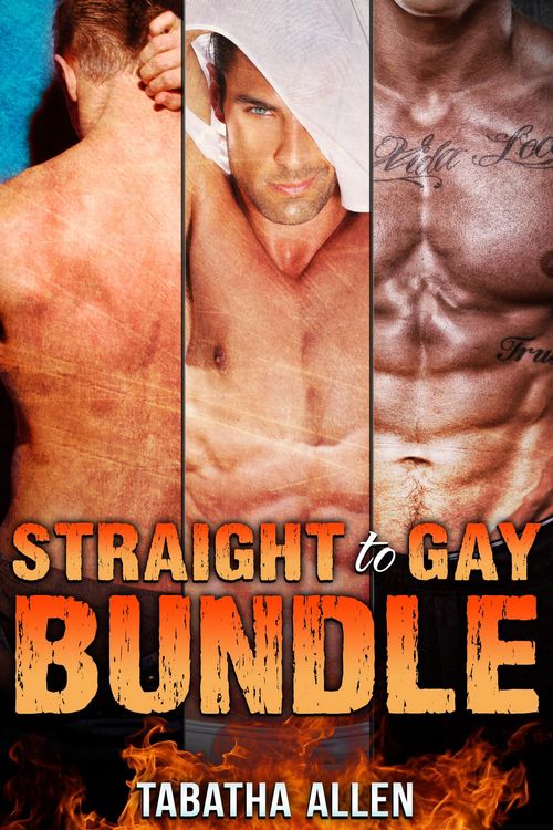 Produktbild: Straight to Gay Bundle