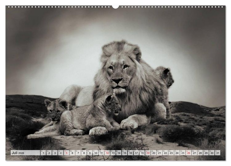 Produktbild: Wilde Tiere in schwarz-wei&szlig; (hochwertiger Premium Wandkalender 2026 DIN A2 quer), Kunstdruck in Hochglanz