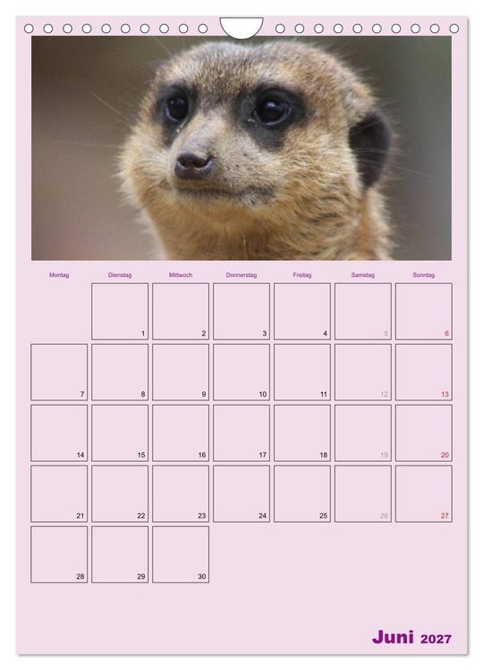Produktbild: Erdm&auml;nnchen / Terminplaner (Wandkalender 2027 DIN A4 hoch), CALVENDO Monatskalender