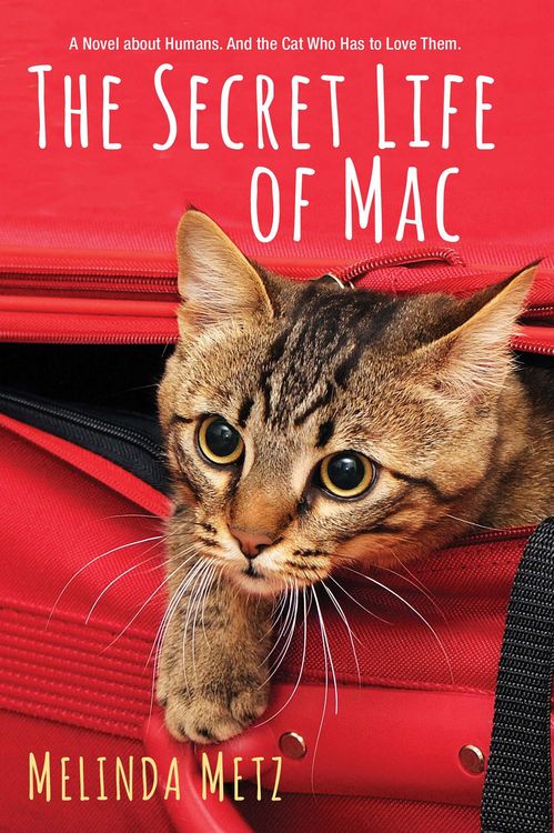 Produktbild: The Secret Life of Mac