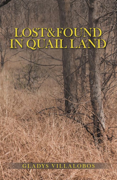 Produktbild: Lost&Found in Quail Land