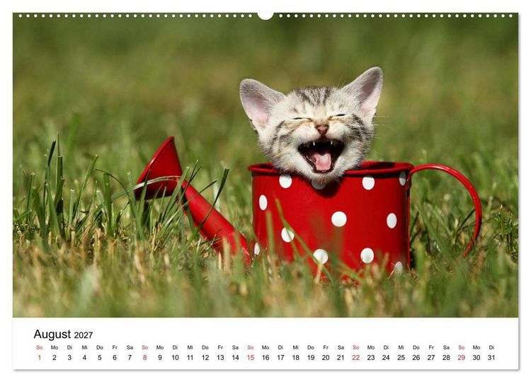 Produktbild: lach mit...just smile (hochwertiger Premium Wandkalender 2027 DIN A2 quer), Kunstdruck in Hochglanz