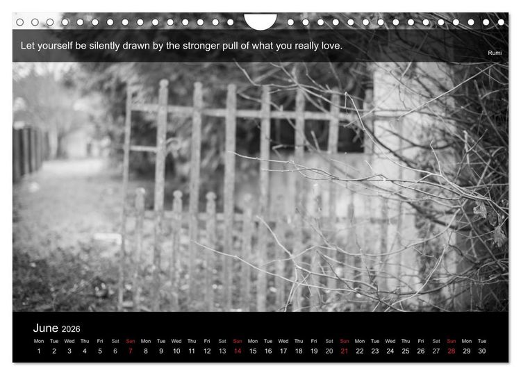 Produktbild: Through the Gate with Rumi (Wall Calendar 2026 DIN A4 landscape), CALVENDO 12 Month Wall Calendar