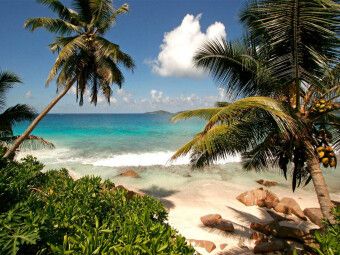 Produktbild: CALVENDO Puzzle La Digue Seychellen | 1000 Teile Lege-Gr&ouml;&szlig;e 64x48cm Foto-Puzzle f&uuml;r gl&uuml;ckliche Stunden