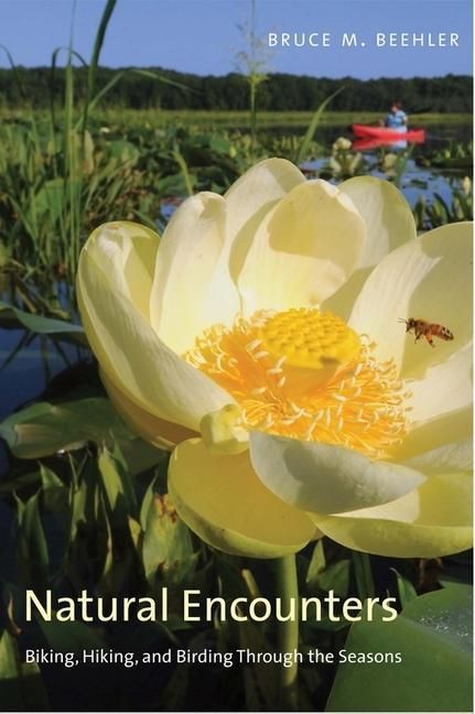 Produktbild: Beehler, B: Natural Encounters