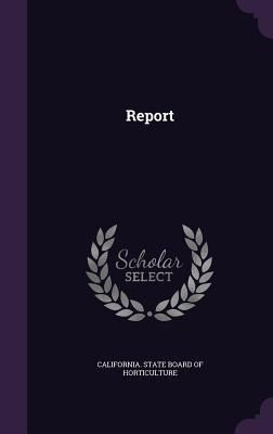 Produktbild: Report