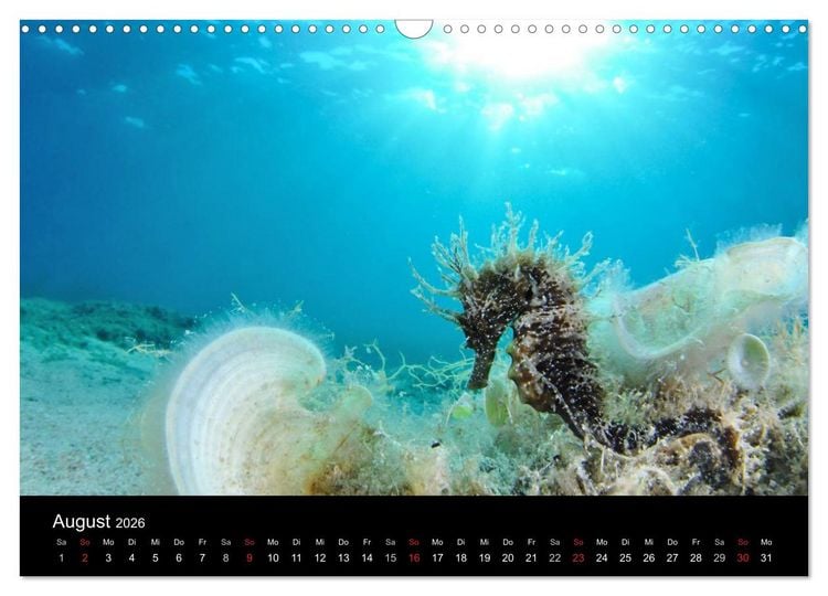 Produktbild: WILD - Tierkalender 2026 (Wandkalender 2026 DIN A3 quer), CALVENDO Monatskalender