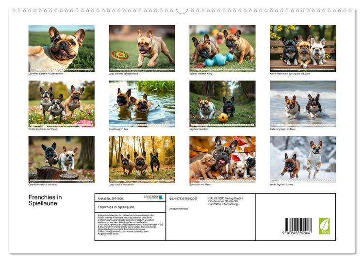 Produktbild: Frenchies in Spiellaune (hochwertiger Premium Wandkalender 2026 DIN A2 quer), Kunstdruck in Hochglanz