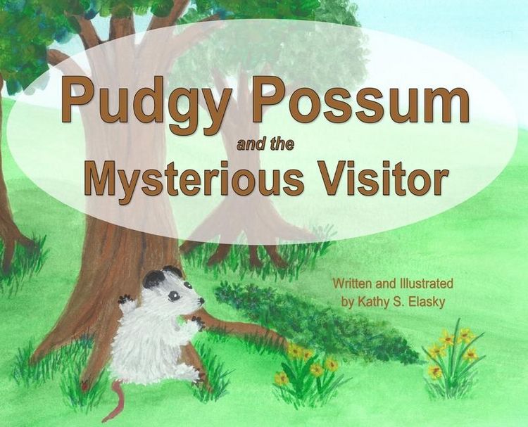 Produktbild: Pudgy Possum and the Mysterious Visitor