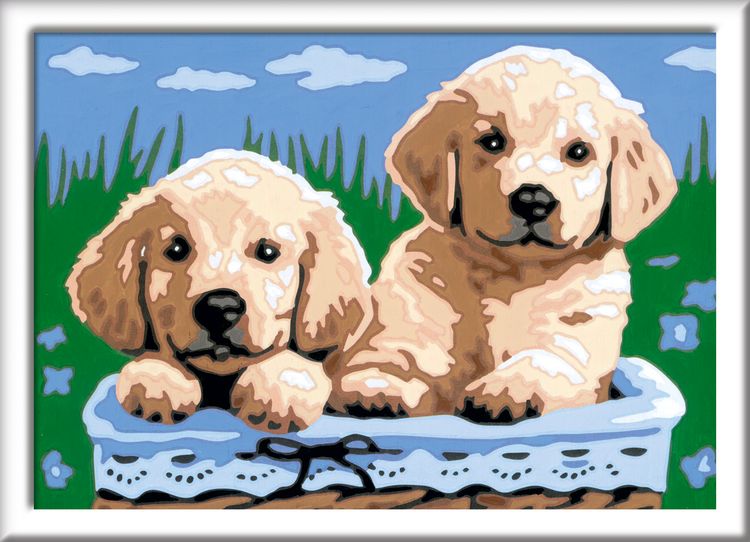 Produktbild: Ravensburger Malen nach Zahlen, S&uuml;&szlig;e Hundewelpen
