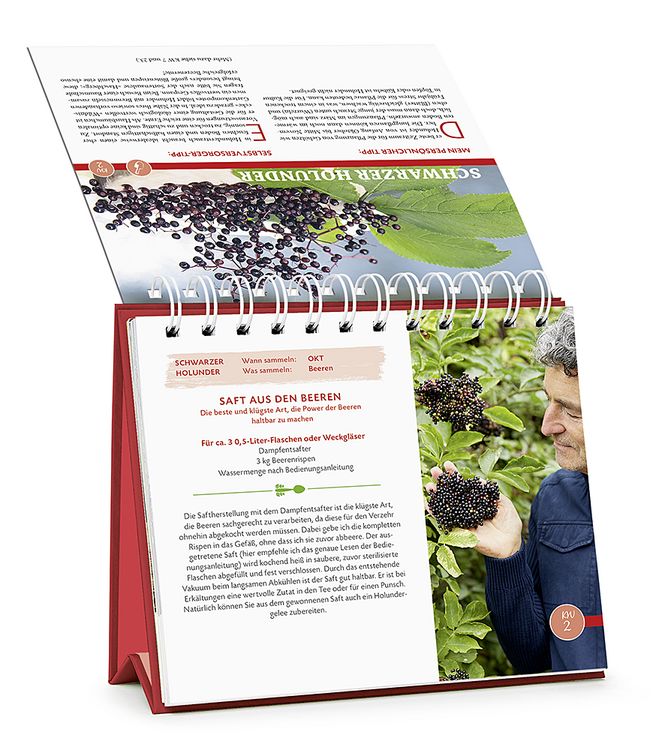 Produktbild: Die Wildpflanzen-Apotheke - Kalender