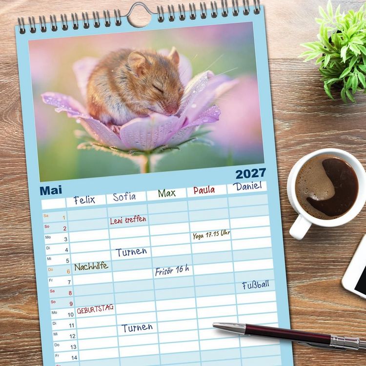 Produktbild: Familienplaner 2027 - Zwischen den Feldern mit 5 Spalten (Wandkalender, 21 x 45 cm) CALVENDO