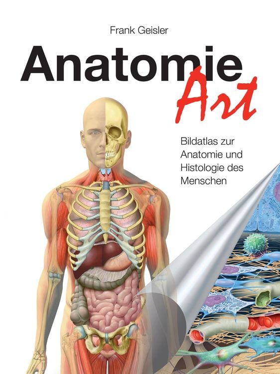 Produktbild: Anatomie-Art