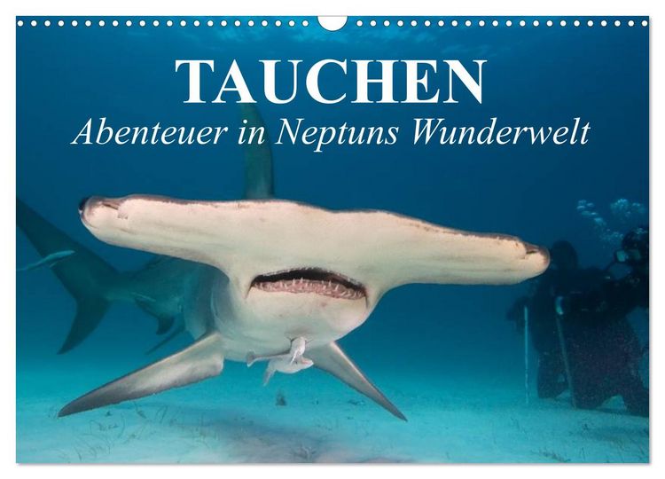 Produktbild: Tauchen - Abenteuer in Neptuns Wunderwelt (Wandkalender 2026 DIN A3 quer), CALVENDO Monatskalender
