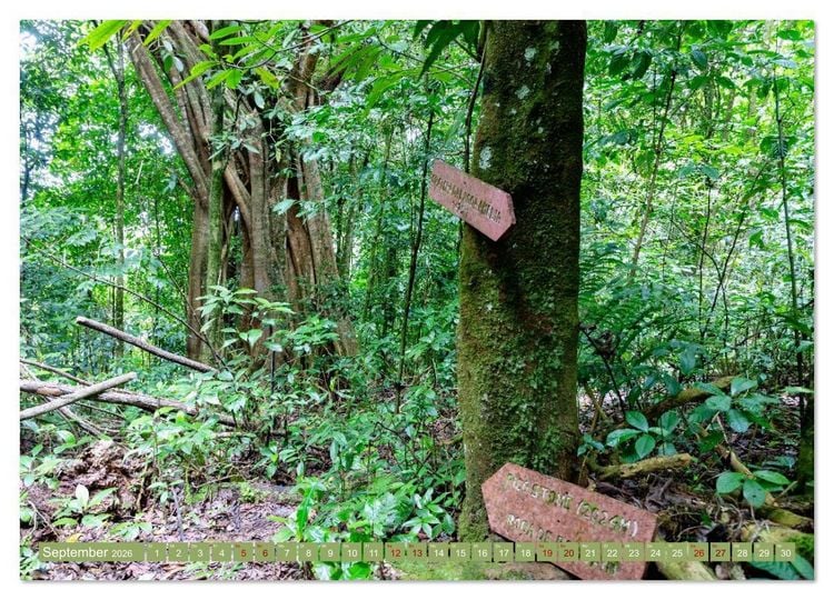 Produktbild: Sao Tome. Paradiesinsel vor der K&uuml;ste Westafrikas (hochwertiger Premium Wandkalender 2026 DIN A2 quer), Kunstdruck in Hochglanz