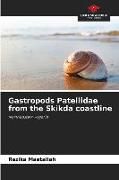 Produktbild: Gastropods Patellidae from the Skikda coastline