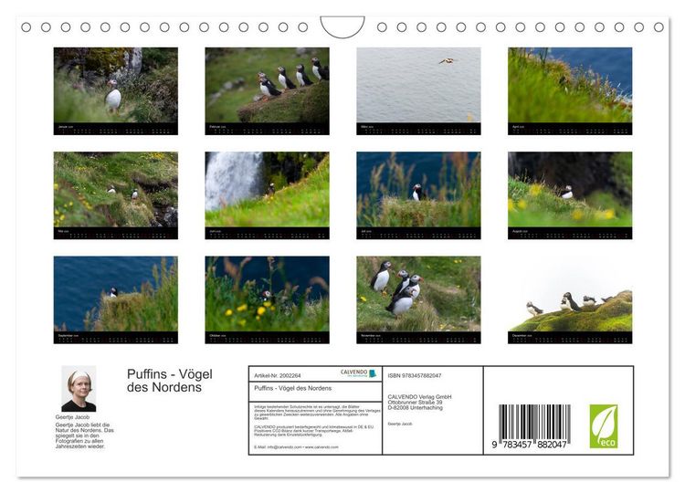 Produktbild: Puffins - V&ouml;gel des Nordens (Wandkalender 2026 DIN A4 quer), CALVENDO Monatskalender