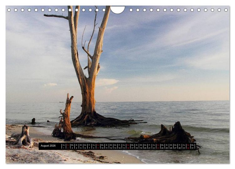 Produktbild: Florida Impressionen (Wandkalender 2026 DIN A4 quer), CALVENDO Monatskalender