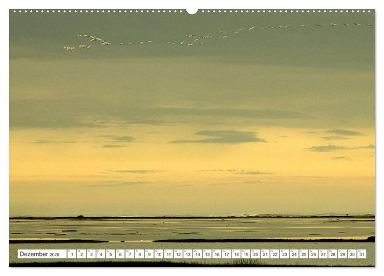 Produktbild: Magie des Nordens, Island und Norwegen (Wandkalender 2026 DIN A2 quer), CALVENDO Monatskalender