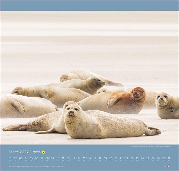 Produktbild: Nationalpark Wattenmeer Edition Kalender 2027 - Martin Stock