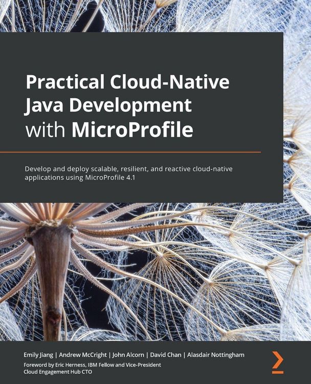 Produktbild: Practical Cloud-Native Java Development with MicroProfile