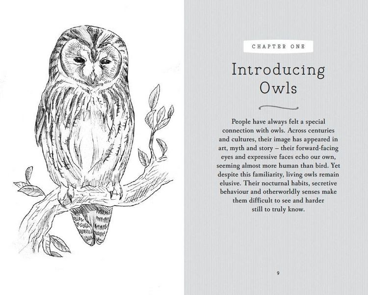 Produktbild: RSPB Pocket Book of Owls