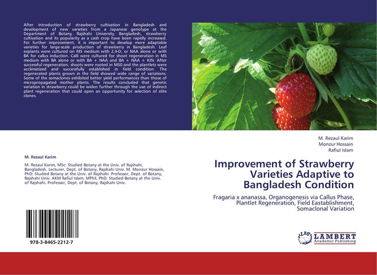 Produktbild: Improvement of Strawberry Varieties Adaptive to Bangladesh Condition
