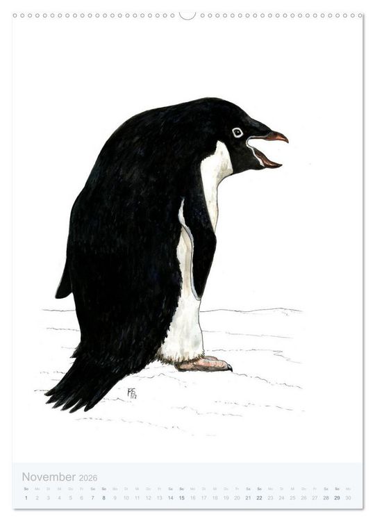 Produktbild: Pinguine - 13 Illustrationen (hochwertiger Premium Wandkalender 2026 DIN A2 hoch), Kunstdruck in Hochglanz
