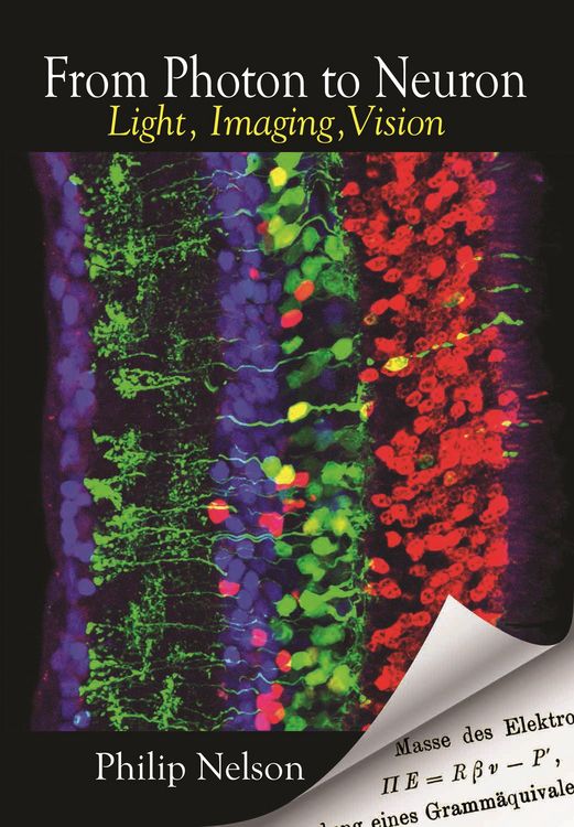 Produktbild: From Photon to Neuron